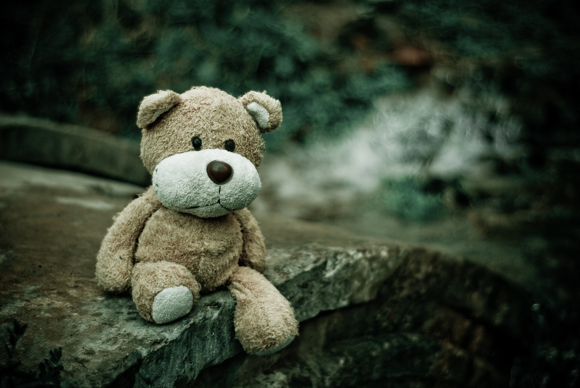 Lost Teddy